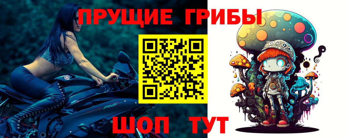 купить наркотики сайты  Вход с VPN  Выкса  Псилоцибиновые грибы прущие грибы 